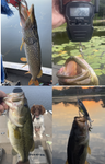 Codaicen Rotating Tail Topwater Plopper Bass Crankbaits – Whooper Crank Bait Fishing Lures Catch Bass, Pike, Walleye, Musky, Trout, Whopper Predatory Fish Freshwater Plopper Saltwater Topwater (Set of Five)Plopper