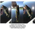 Spinning Fishing Reel with Left/Right Interchangeable Collapsible Handle